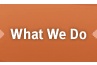 What We Do