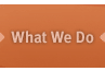 What We Do